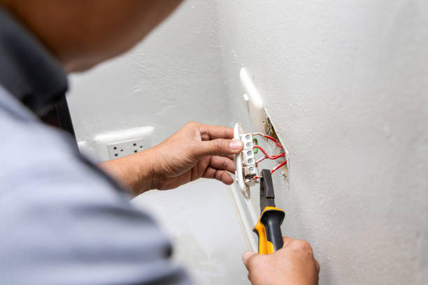 Best Ceiling Fan Installation Electrician  in Hilton, NY